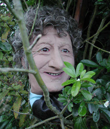 The Doctor's Head goes for a Roll - Bush Peeping